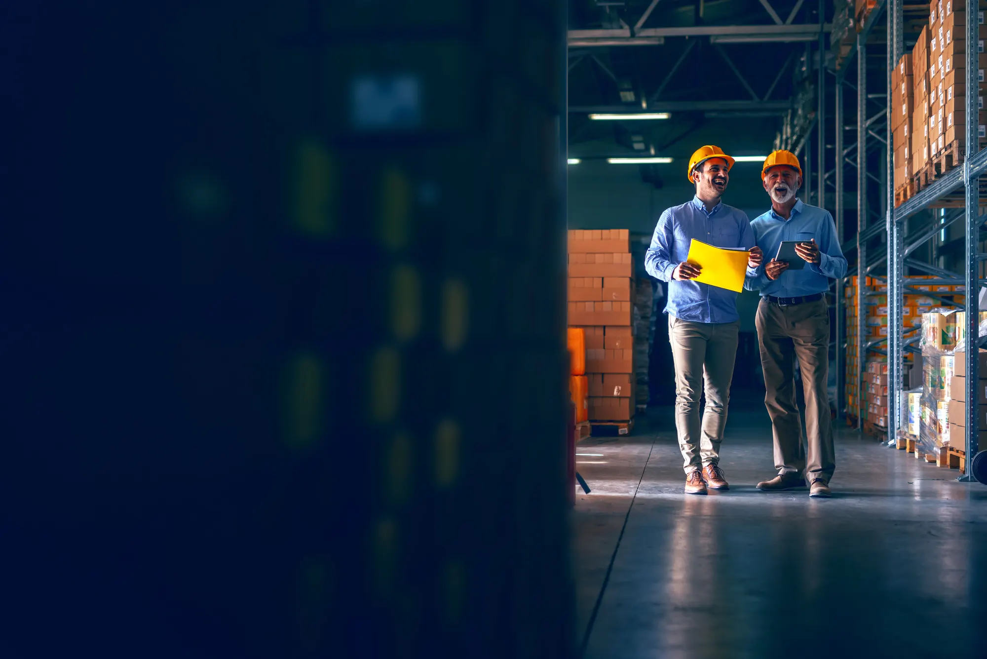 Implementing STIBO STEP: A Technical Blueprint for Product MDM — Apptad Insights
